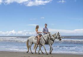 Barceló Montelimar - All Inclusive