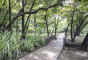 Barceló Montelimar - All Inclusive