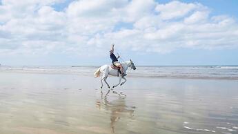 Barceló Montelimar - All Inclusive