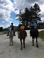 North Star Lodge and Resort