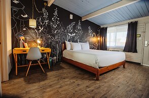 Hotel McCoy - Art, Coffee, Beer, Wine