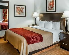 Quality Inn & Suites Farmington