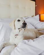 InterContinental Montreal by IHG