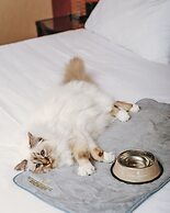 InterContinental Montreal by IHG