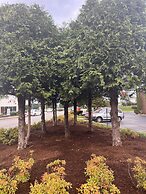 Quality Inn Asheville Airport