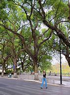 Sheraton Guilin Hotel