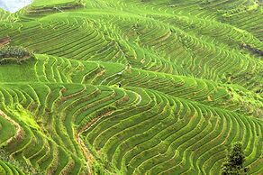 Sheraton Guilin Hotel