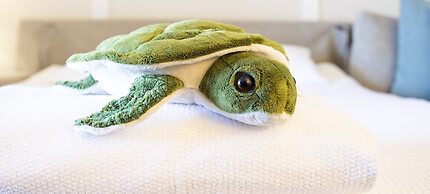 Jekyll Island Club Resort