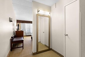 Comfort Inn Somerset