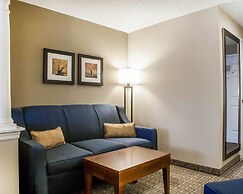 Comfort Inn & Suites Sturbridge - Brimfield