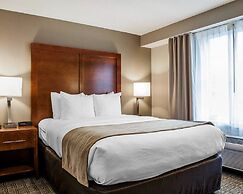 Comfort Inn & Suites Sturbridge - Brimfield