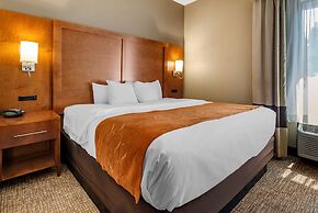 Comfort Suites Bethlehem Near Lehigh University and LVI Airport