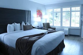 Palm Garden Hotel