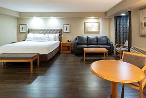 Royal Hotel West Edmonton, Trademark Collection by Wyndham