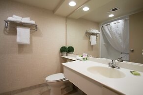 Royal Hotel West Edmonton, Trademark Collection by Wyndham