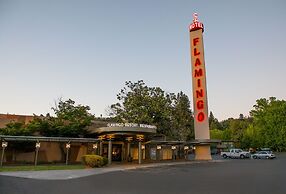 Flamingo Resort & Spa Santa Rosa Sonoma, Tapestry by Hilton