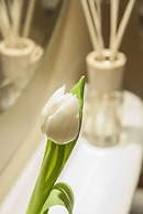 Hotel Spaander, BW Signature Collection