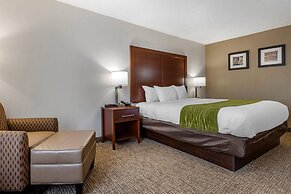 Comfort Inn Shelby