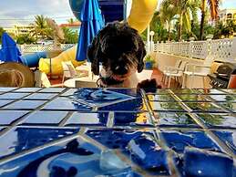 Comfort Inn Oceanside Deerfield Beach