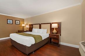 Comfort Inn Oceanside Deerfield Beach