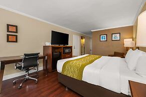 Comfort Inn Oceanside Deerfield Beach