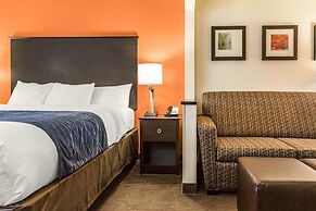 Comfort Inn Wings Stadium