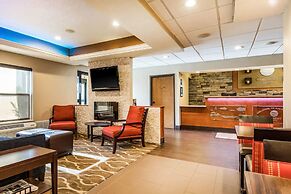 Comfort Inn Wings Stadium