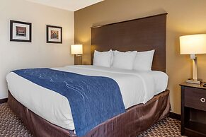 Comfort Inn Wings Stadium