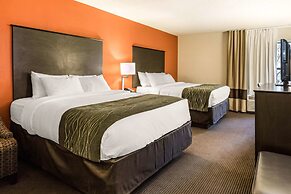 Comfort Inn Wings Stadium