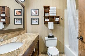 Comfort Inn Wings Stadium