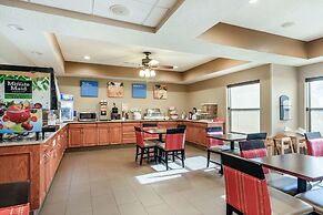 Comfort Inn Wings Stadium