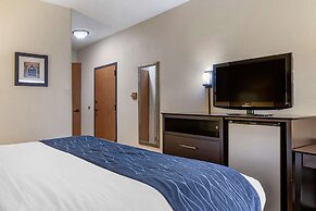 Comfort Inn Wings Stadium