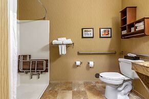 Comfort Inn Wings Stadium