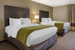 Comfort Inn Wings Stadium