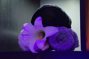 Holiday Inn Newcastle - Gosforth Park by IHG