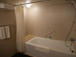 ANA Crowne Plaza Fukuoka by IHG