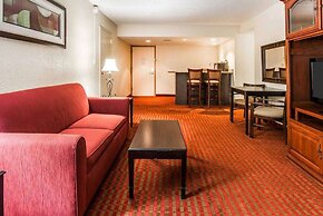 Wingate by Wyndham Marietta Conference Center