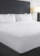 Renaissance Asheville Downtown Hotel