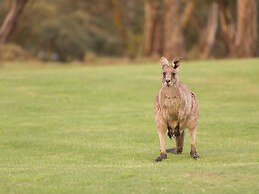 Novotel Lake Crackenback Resort & Spa