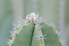 The Phoenician, a Luxury Collection Resort, Scottsdale
