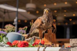 The Phoenician, a Luxury Collection Resort, Scottsdale