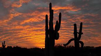Boulders Resort & Spa Scottsdale, Curio Collection by Hilton