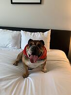 Downtown Grand Las Vegas