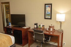 Comfort Inn Atlanta Airport