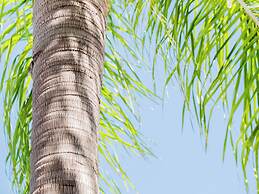 Hotel Central Wellness