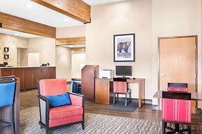 Comfort Inn at Buffalo Bill Village Resort