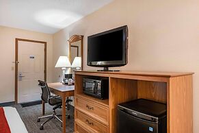 SureStay Plus Hotel by Best Western Buffalo