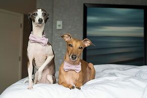 The Westin Harbour Castle, Toronto