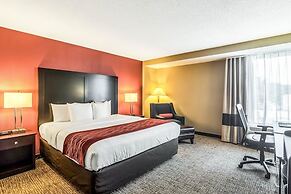 Comfort Inn Convention Center - Chicago O'hare Airport