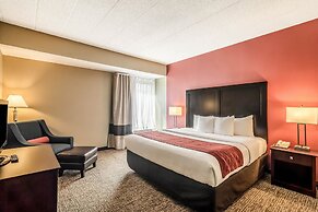Comfort Inn Convention Center - Chicago O'hare Airport